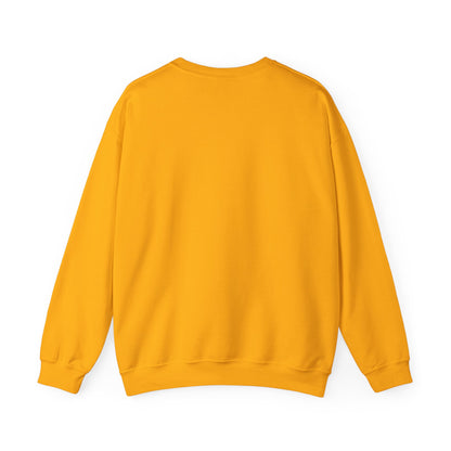 Pastel  Sweatshirt for Graceful Change Makers