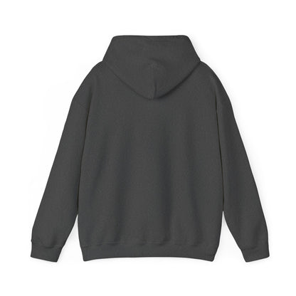 Quantum Entanglement Hoodie - 'Spooky Action at a Distance' Design