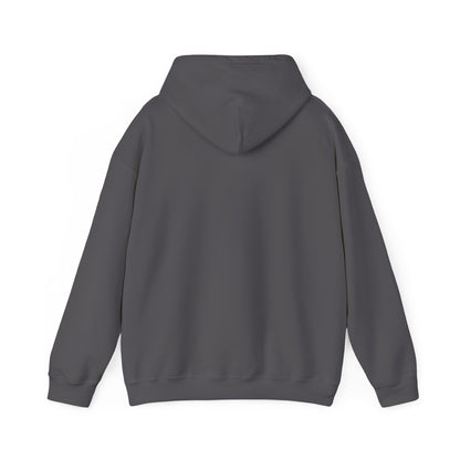 Quantum Entanglement Hoodie - 'Spooky Action at a Distance' Design